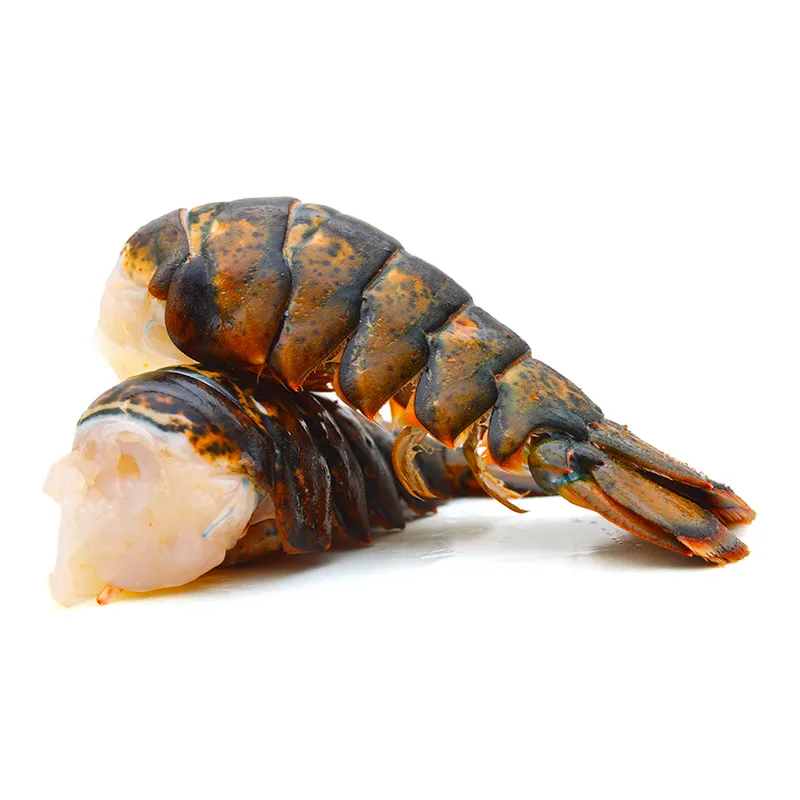 [COLALANGOSTA] Cola de Langosta